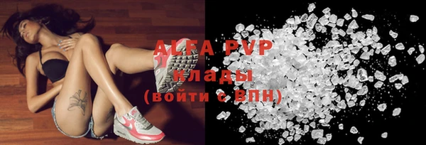 шишки Иннополис