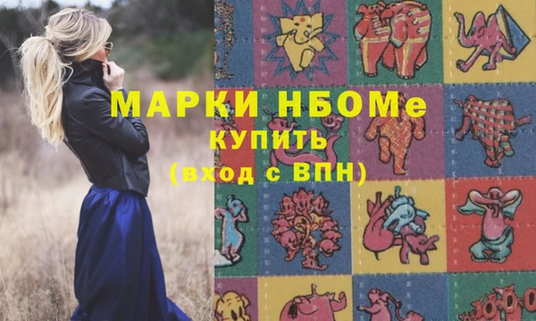 шишки Иннополис