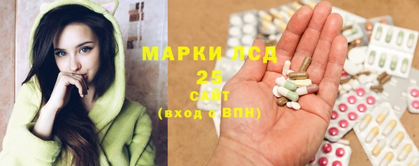 гашик Инсар