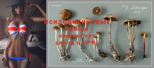 шишки Иннополис