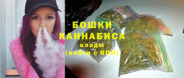 шишки Иннополис