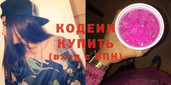 шишки Иннополис
