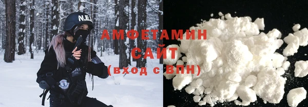 гашик Инсар
