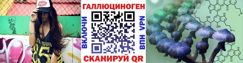 Купить  Вольск  Псилоцибиновые грибы прущие грибы 